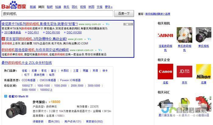 搜索引擎广告投放，快速获取潜在客户