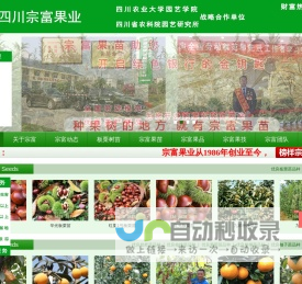 成都天府新区宗富水果种植专业合作社|板栗苗